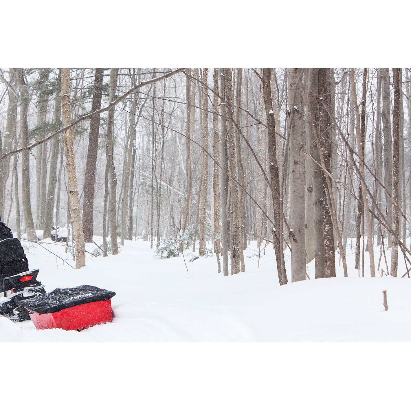 Trek Sport 82 with Accessories