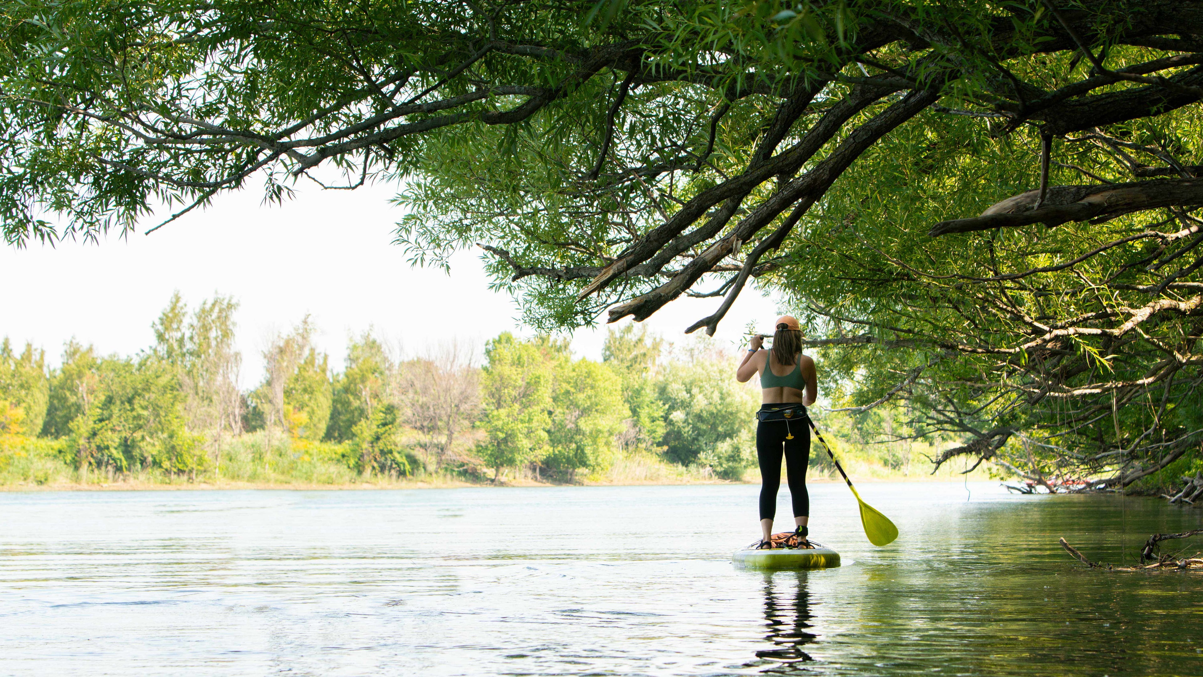 Vate Paddle 180-220cm