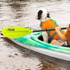 Standard Paddle 220cm