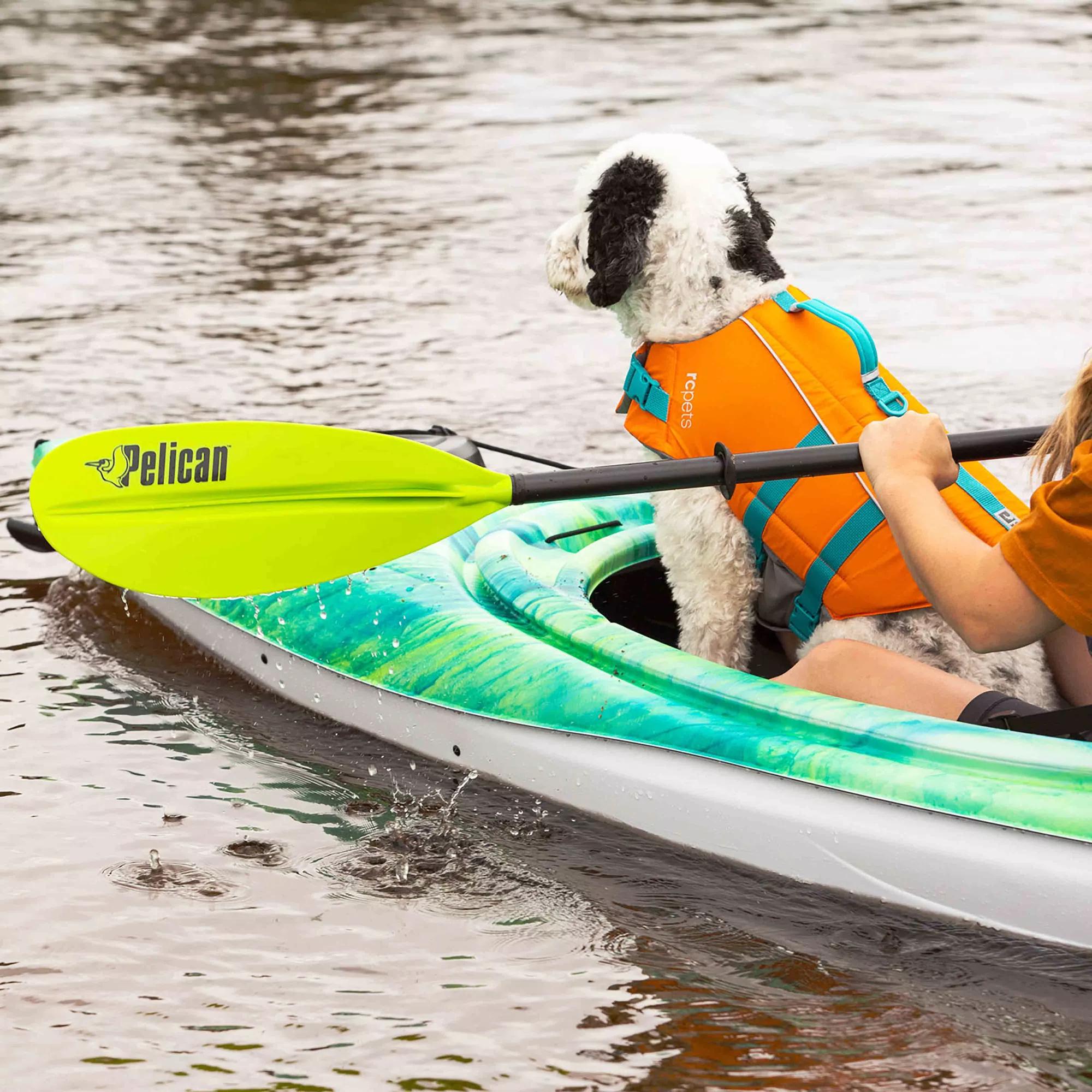 Standard Paddle 220cm