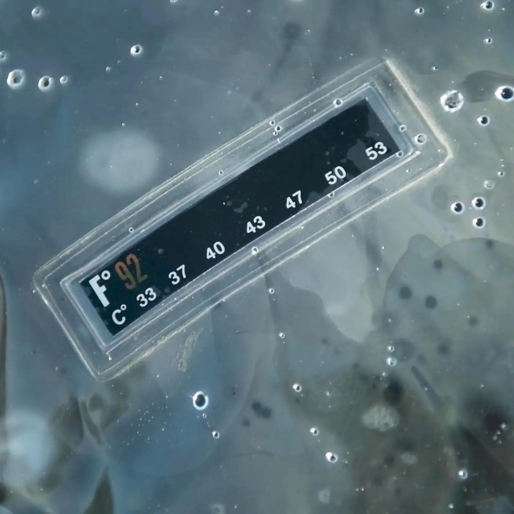 5 Gallon Summer Shower